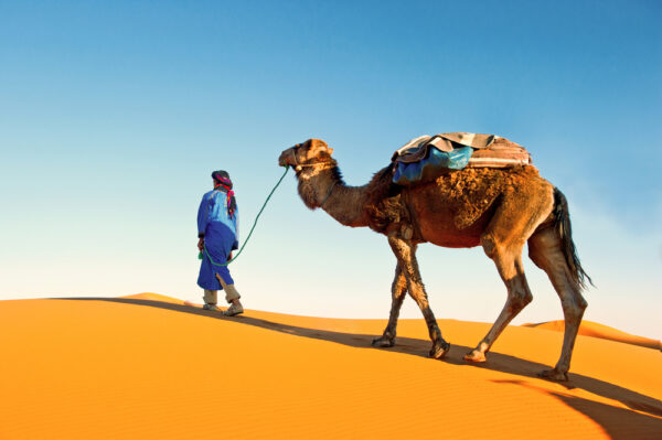 Ruta de 3 dias desde Marrakech a Fez por el Desierto